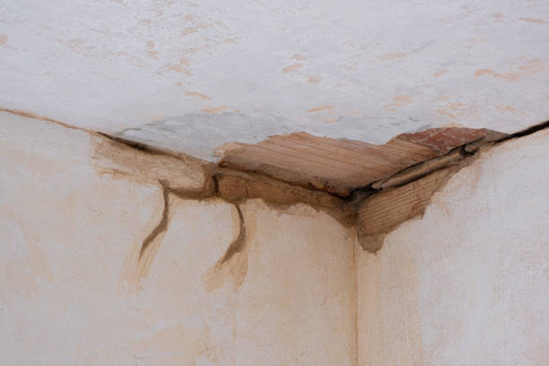 Best Water damage restoration process  in North East, MD