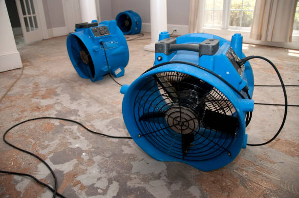 Best Carpet water damage restoration  in North East, MD