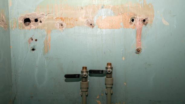 Water damage restoration mold remediation in North East, MD