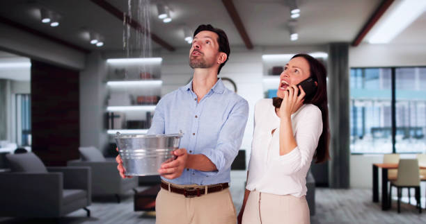 Best Water damage restoration mold remediation  in North East, MD